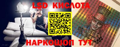 прущие грибы Будённовск