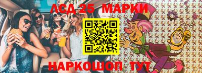 прущие грибы Будённовск