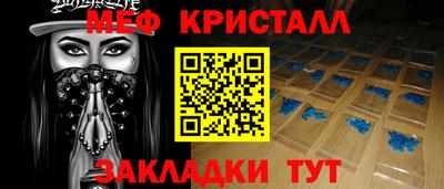 прущие грибы Будённовск