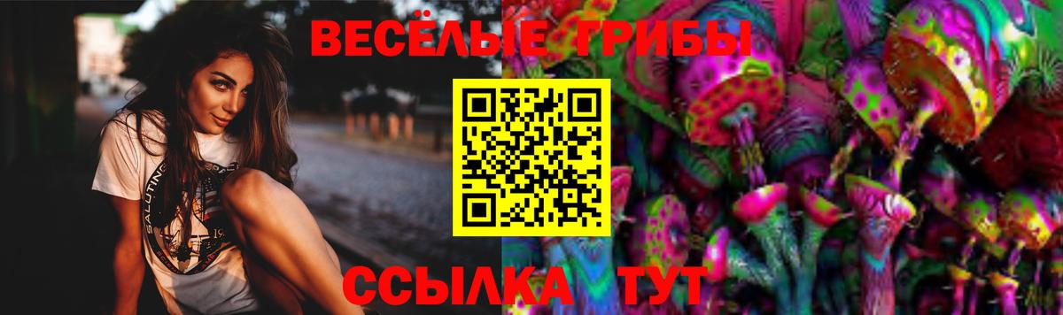 Псилоцибиновые грибы мицелий Ревда